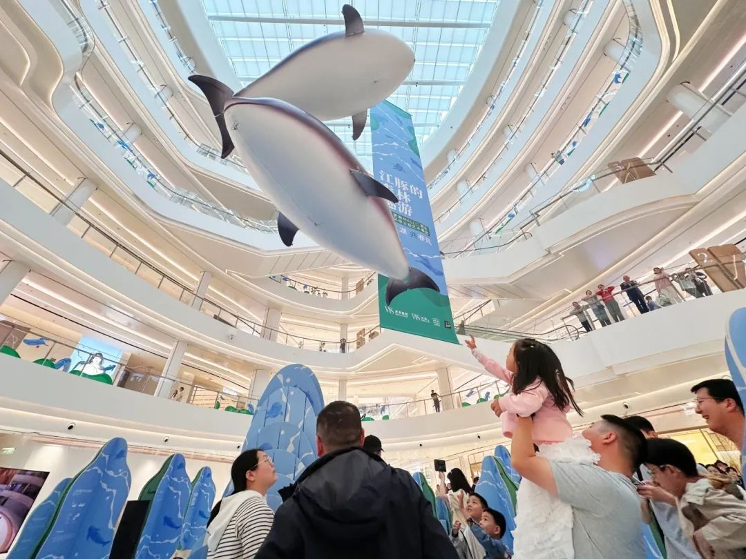 k8.com(中国区)官方网站