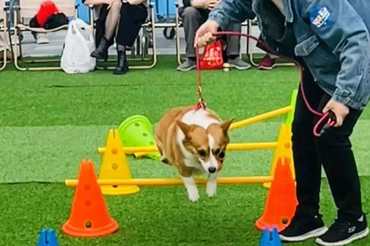 k8.com(中国区)官方网站