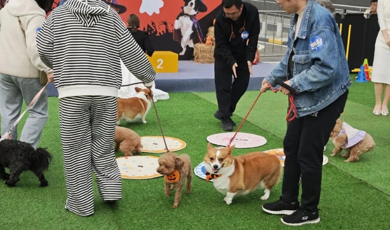 k8.com(中国区)官方网站