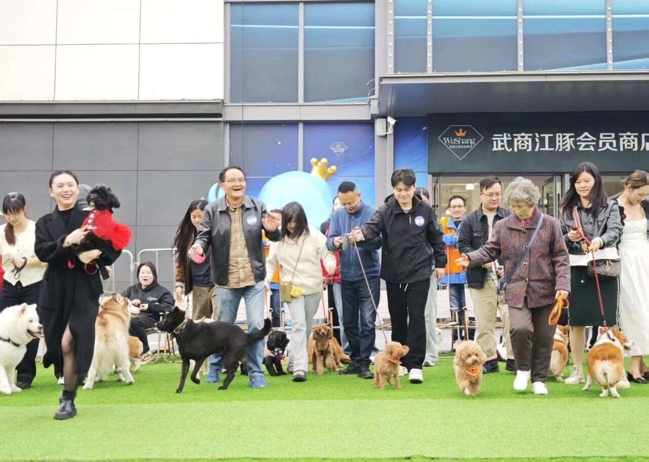 k8.com(中国区)官方网站