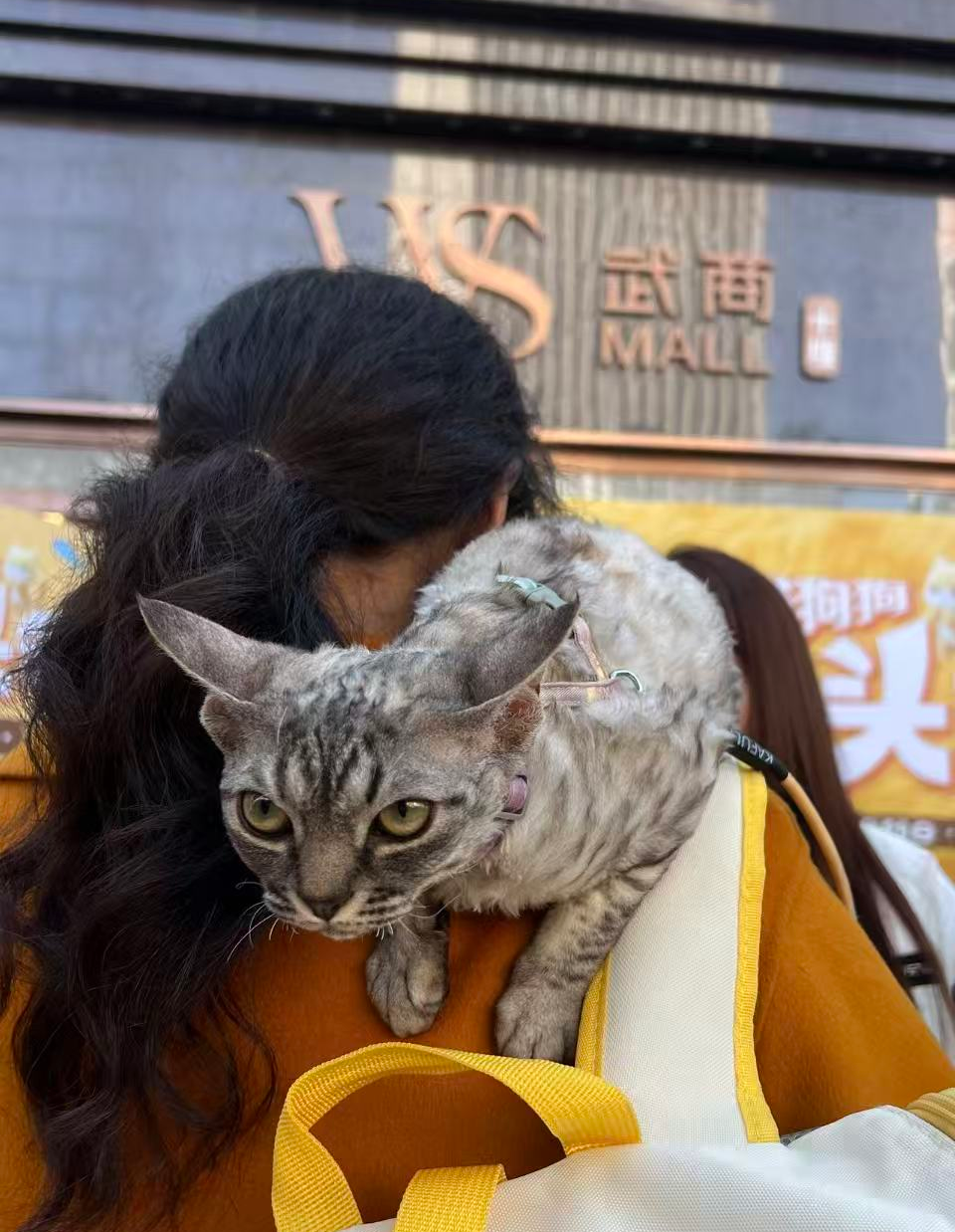 k8.com(中国区)官方网站