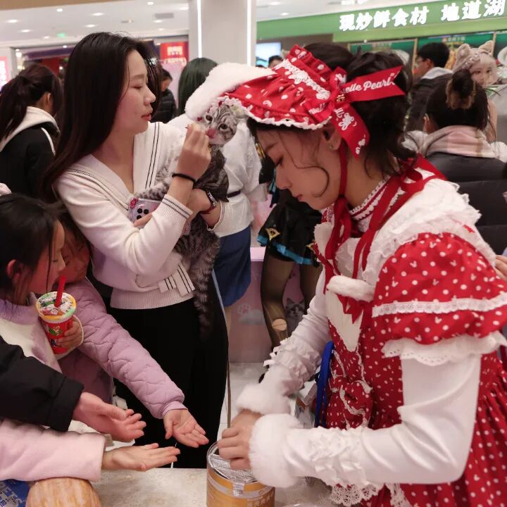 k8.com(中国区)官方网站